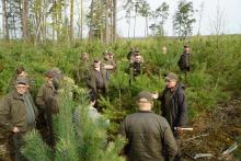 Szkolenie terenowe dla leśniczych